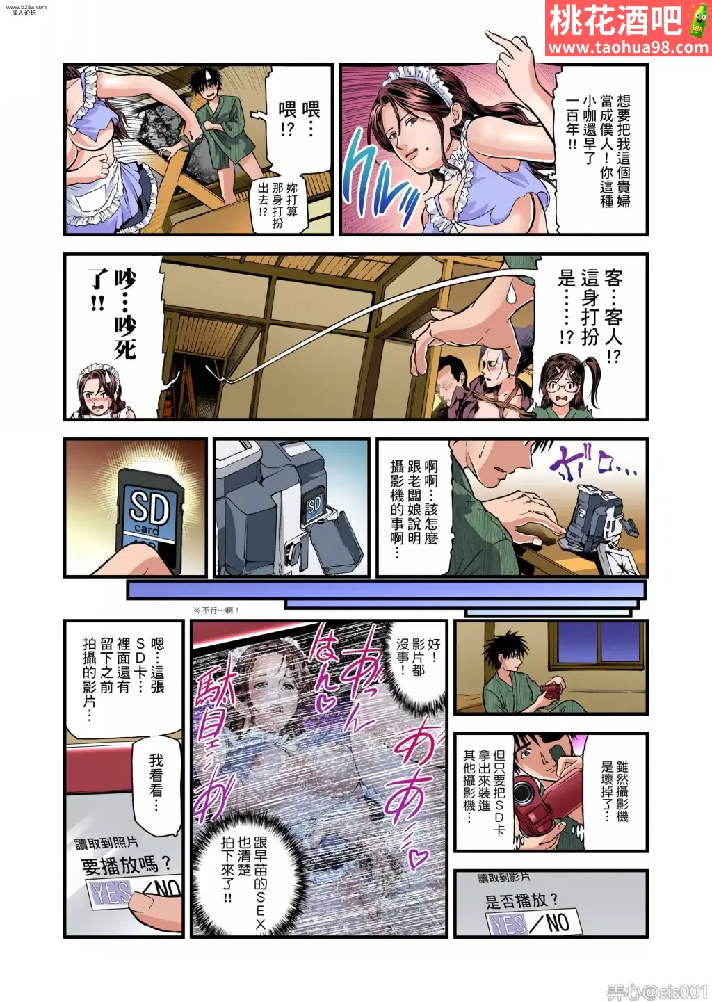 11.webp